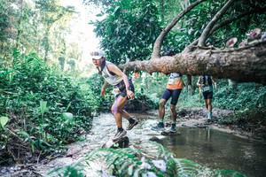 BIB: 
                            <button type="button" onclick="openModal(25430905)" class="btn btn-primary btn-sm float-right btn-popup" data-toggle="modal" data-target=".modal-high-quality">
                        <i class="fas fa-shopping-cart"></i> Add to Cart
                    </button>
                                            <button type="button" onclick="isThisMe(25430905, true)" class="btn btn-success btn-sm float-right btn-popup btn-isme hidden" data-toggle="tooltip" data-placement="bottom" title="นี่คือรูปของคุณใช่ไหม คลิกที่นี่เพื่อเอาเข้าอัลบั้ม">
                        <i class="fas fa-plus"></i> Add to album
                    </button>
                    <button type="button" onclick="isThisMe(25430905, false)" class="btn btn-warning btn-sm float-right btn-popup btn-isnotme hidden">
                        <i class="fas fa-ban"></i> Remove from album
                    </button>